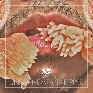 Underneath the Pine album art. What is that, grapefruit or something?. Courtesy of Gorilla vs Bear.