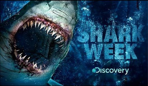 Shark Week swims to the top of TV ratings