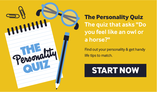 Personality quizzes provide external validation