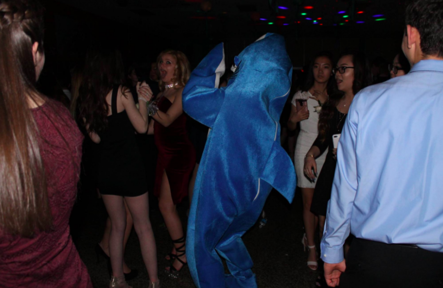 Class of 2020 takes a trip under the sea for their freshman dance