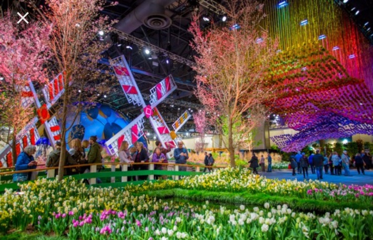 The 2018 Philadelphia Flower Show aims to show the “Wonders of Water.”