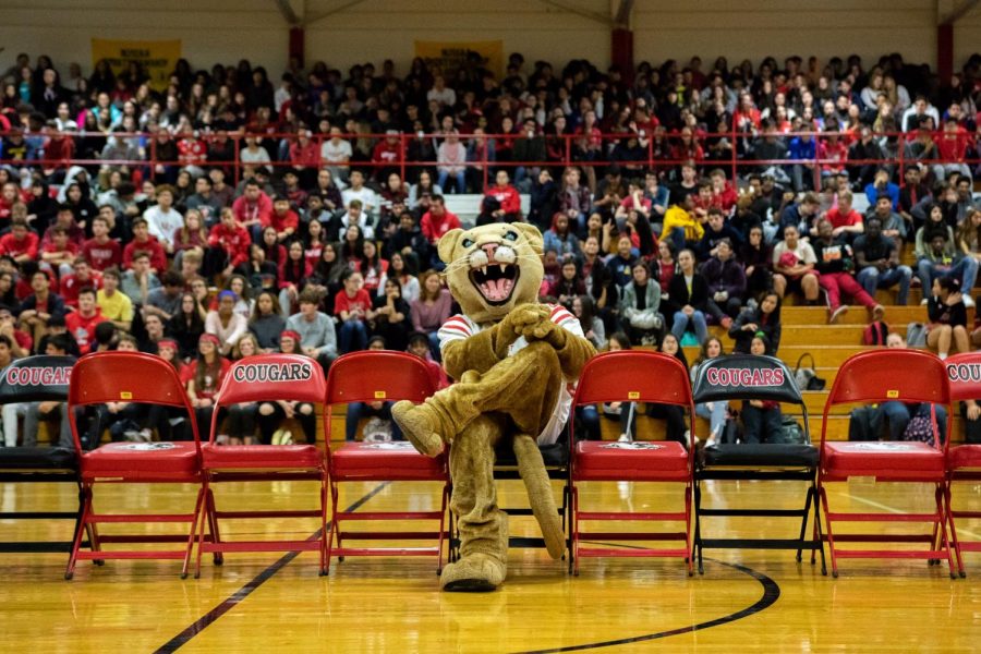 Crimson the Cougar poses at the center of a dispirited crowd. 
