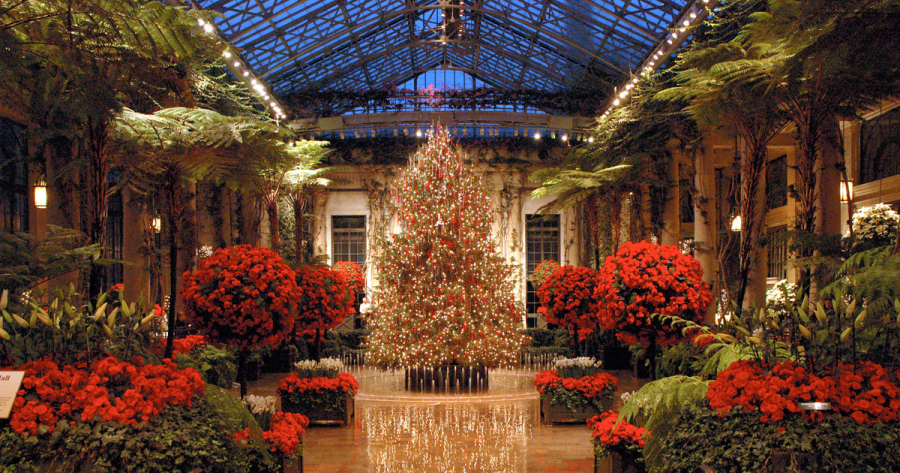 The illuminated Conservatory of Longwood Gardens shines bright during the night.  
