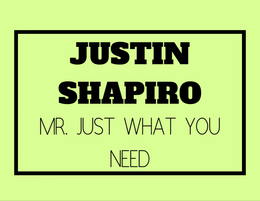 Mr. Just What You Need (Justin Shapiro)
