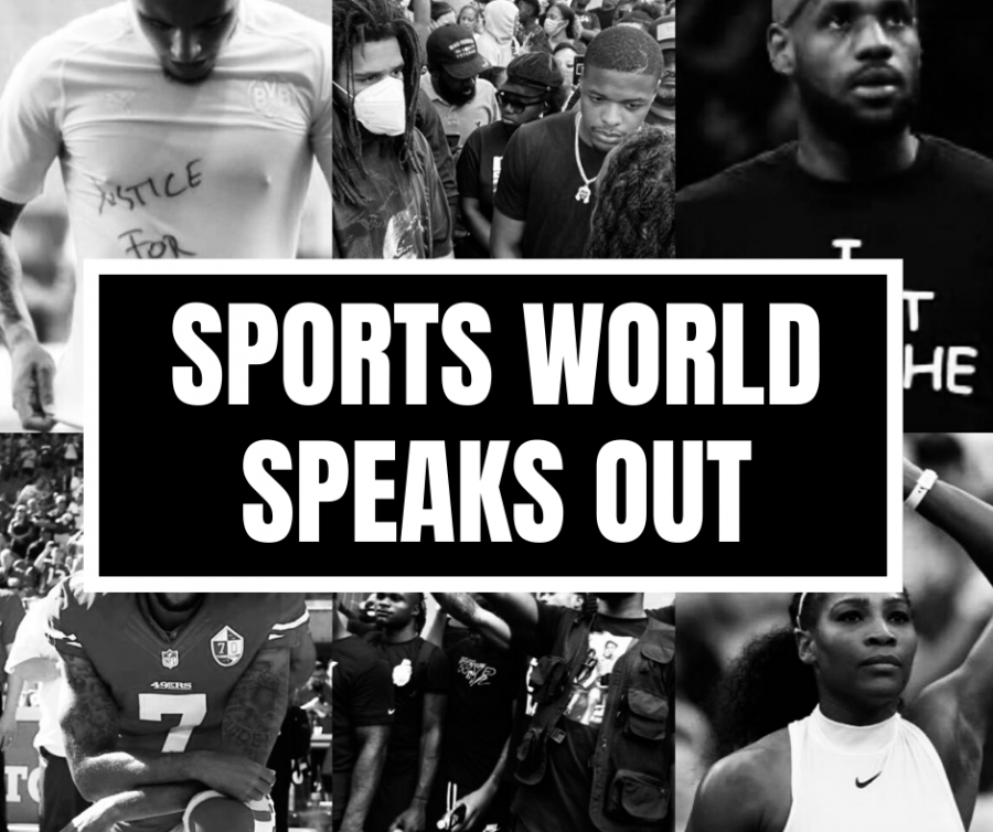 Athletes in the sports world speak out.  