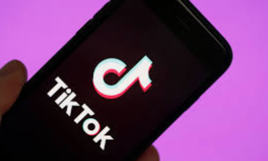 TikTok remains popular among teens despite President Trumps efforts to ban the app.