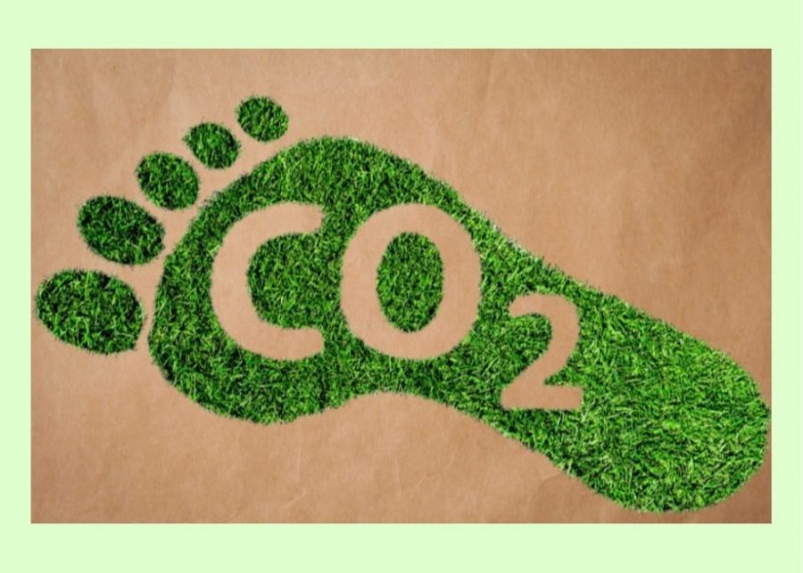 We must take action to reduce our carbon footprint.
