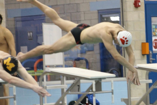 Anthony Ferraro diving into the pool at a swim meet.