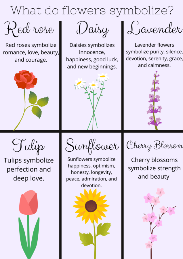The meaning of the six most popular flowers.