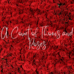 Discover the world of Prynthia in the series A court of Thorns and Roses, by Sarah J. Mass