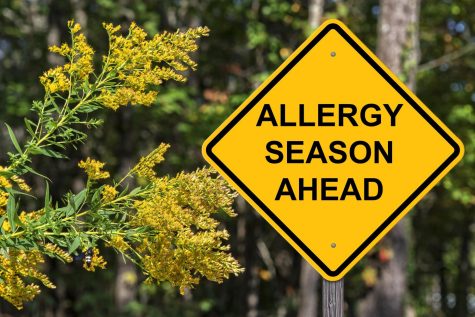 Allergy season is in full swing, but there are ways to reduce your symptoms.