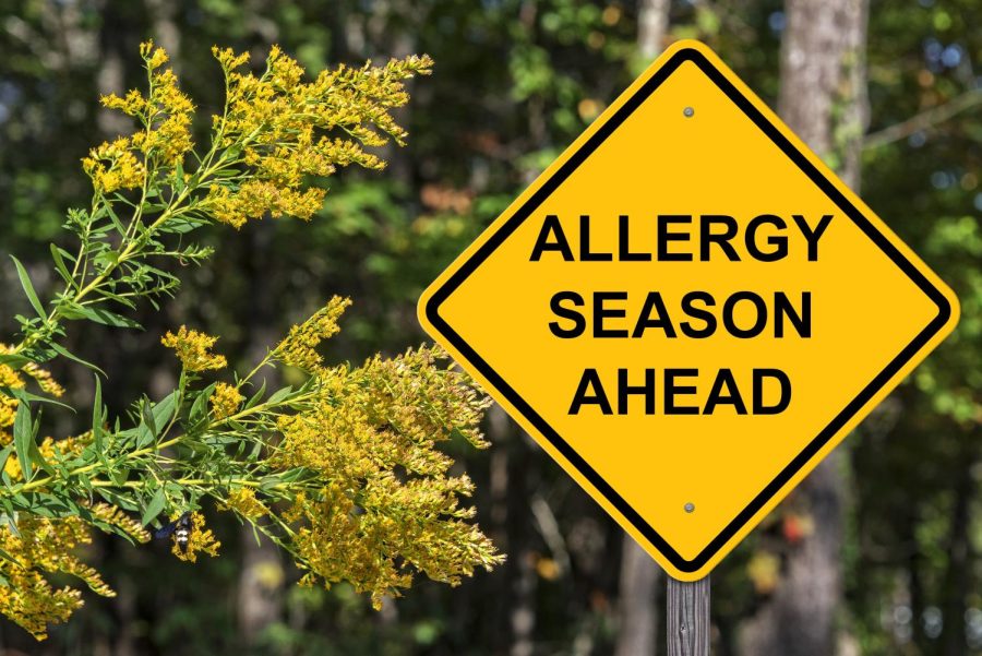Allergy+season+is+in+full+swing%2C+but+there+are+ways+to+reduce+your+symptoms.