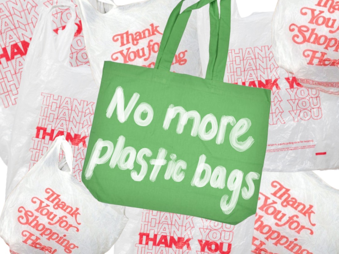 Reusable Bags Single-Use Plastic Bag Alternatives | Progress Luv2Pak