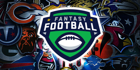 There is a much larger percentage of males playing fantasy football compared to females.