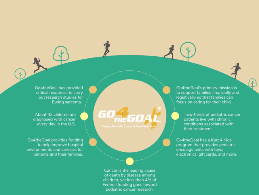 Infographic+statistics+from+Go4theGoal+about+their+non-profit+organization.