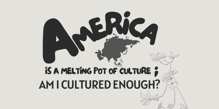 America is a melting pot of culture; Am I cultured enough?
