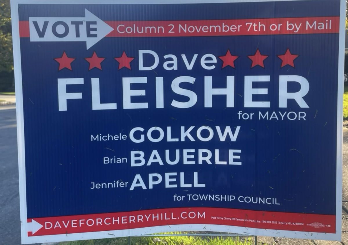 Fleishers+campaign+lawn+sign