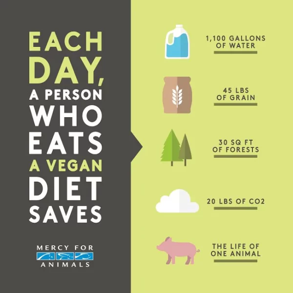 A plant-based diet helps conserve a variety of resources on Earth. 
