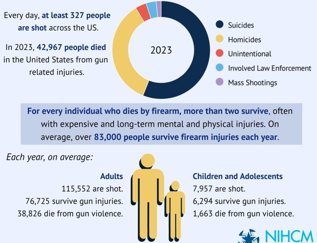Graphic by the NIHCM depicting US gun violence statistics in 2023