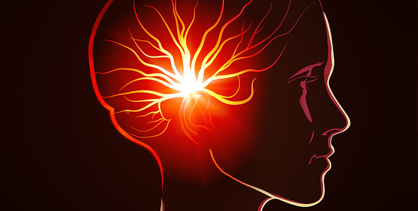 Dopamine plays a complicated role in  motor control (Courtesy of Harvard Medical School).