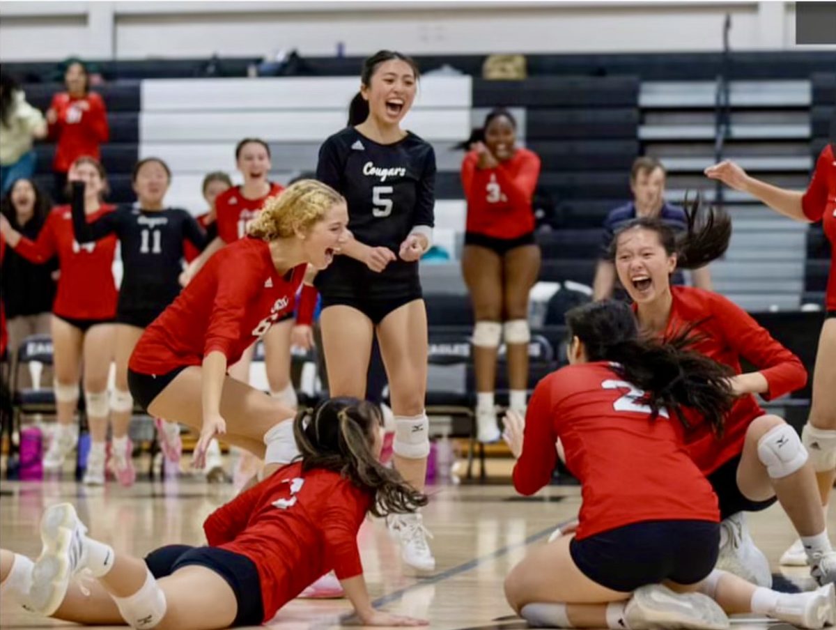 The Cougars celebrate after scoring a point.