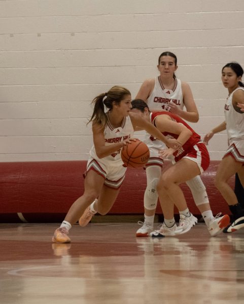 The Lady Cougars in action