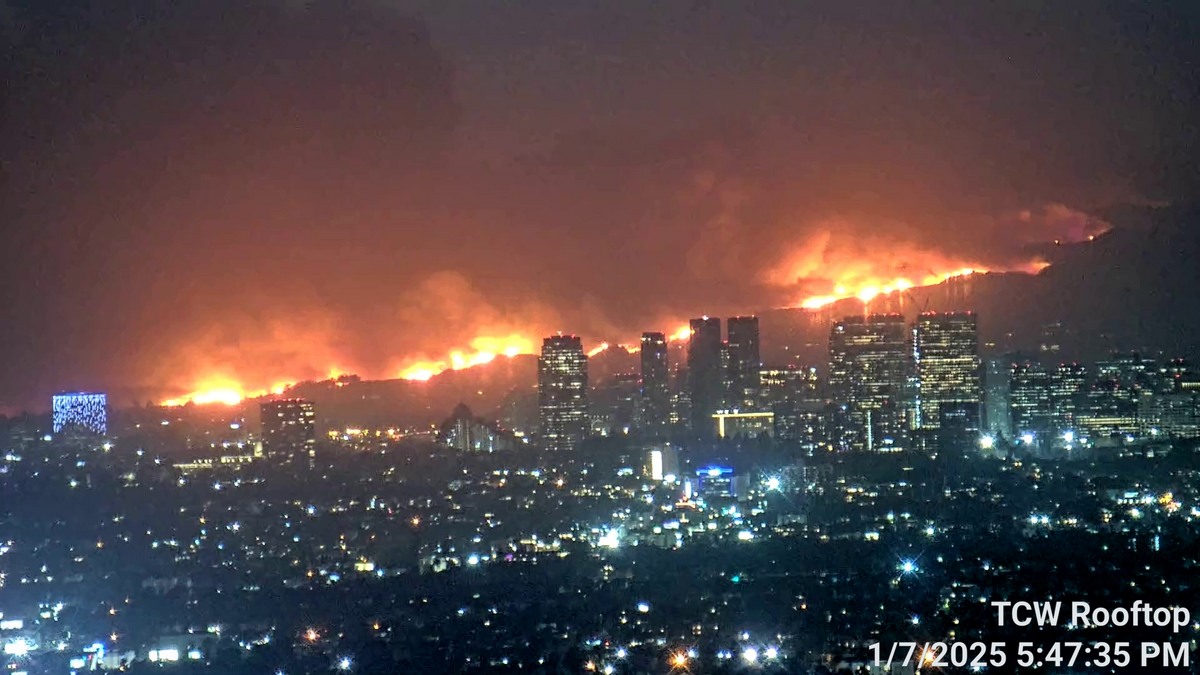 Palisades wildfires can be seen from downtown Los Angeles.  "Los Angeles Palisades Fire" by Toastt21 is licensed under CC BY-SA 4.0