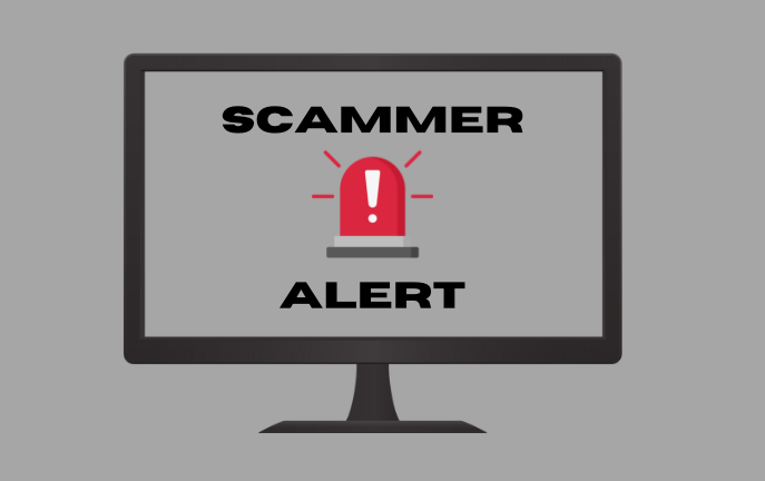 Online scams take all shapes and forms, affecting the lives of millions of Americans.