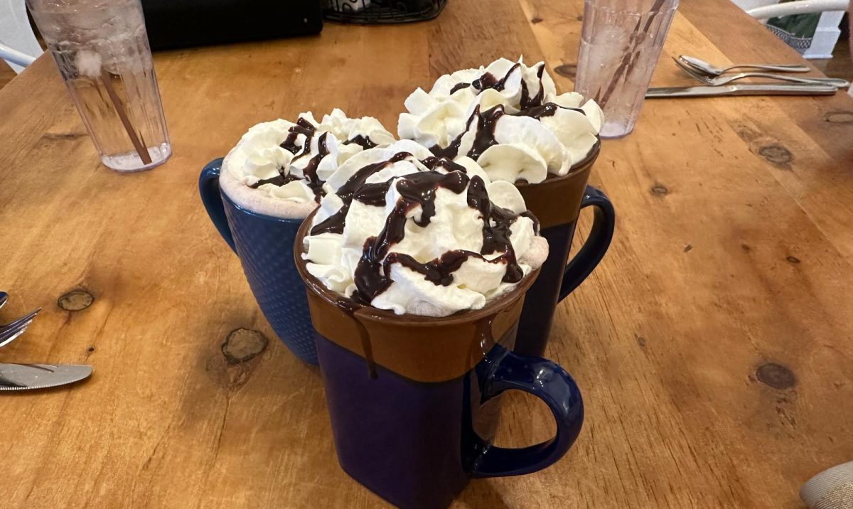 Three hot chocolates topped with whipped cream and drizzled chocolate syrup showcased at Sabrina's Cafe in Collingswood, New Jersey.