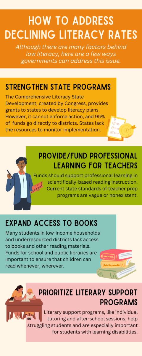 Governments need to find ways to combat the literacy crisis.