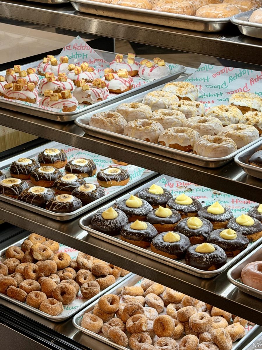 Donuts shine in the display case. Used with permission from Jessica Buono. 